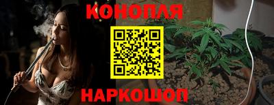 гидра Славянск-на-Кубани