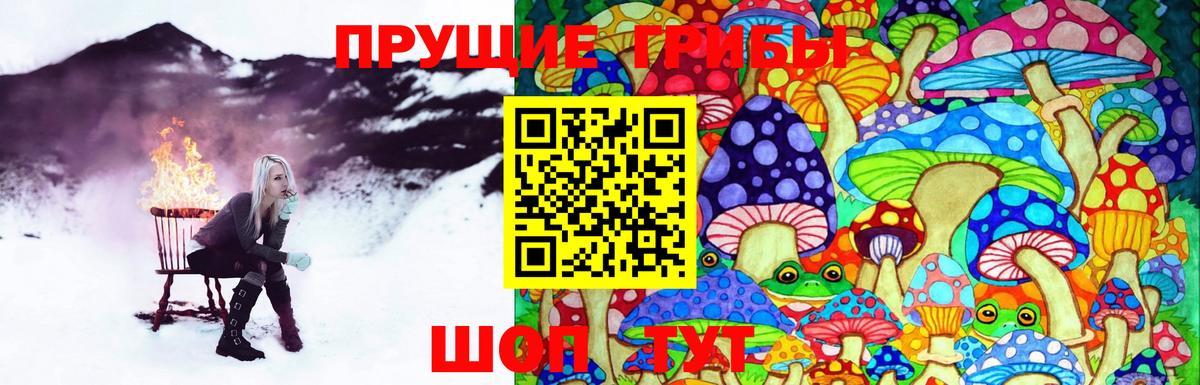 Псилоцибиновые грибы Cubensis Павловский Посад