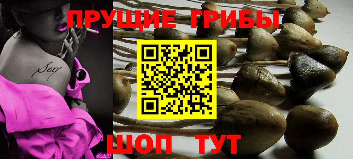 Галлюциногенные грибы ЛСД  Галлюциногенные грибы Cubensis  Вход с VPN  Павловский Посад 
